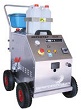 STEAM VAPOR CLEANER