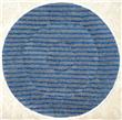 SPPV01256 SPPV01256 Microfiber Scrub Pad