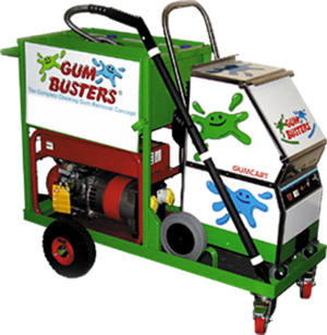 GumBuster OSPREY DEEP CLEAN Steam Cleaner