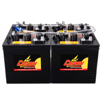 CR-BWS-S-1 Battery Watering System 1 Battery