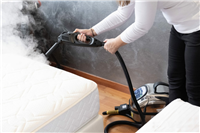 Bed Bugs Killer for Hotels Motels