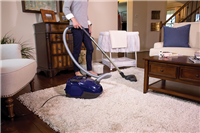 EL4012A- Electrolux Silent Performer Canister Vacuum