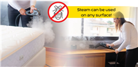 Bed Bug Extermination Pro System
